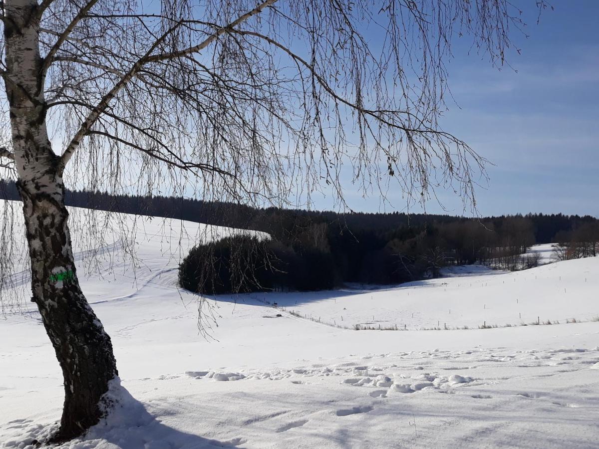 Chalupa Nad Popelkou Lomnice nad Popelkou المظهر الخارجي الصورة